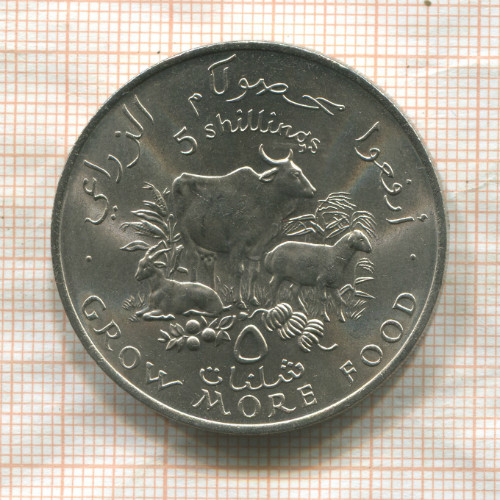 5 шиллингов. Сомали. F.A.O. 1970г