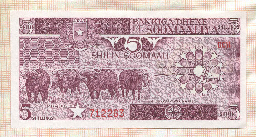 5 шиллингов. Сомали 1986г