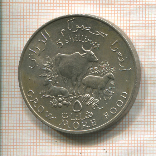 5 шиллингов. Сомали. F.A.O. 1970г