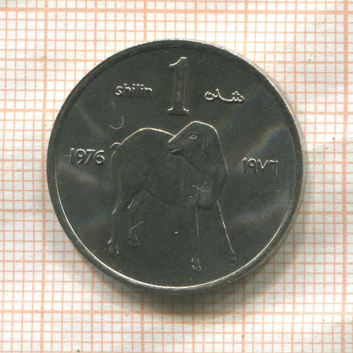 1 шиллинг. Сомали. F.A.O. 1976г
