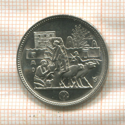5 пиастров. Египет. F.A.O. 1977г