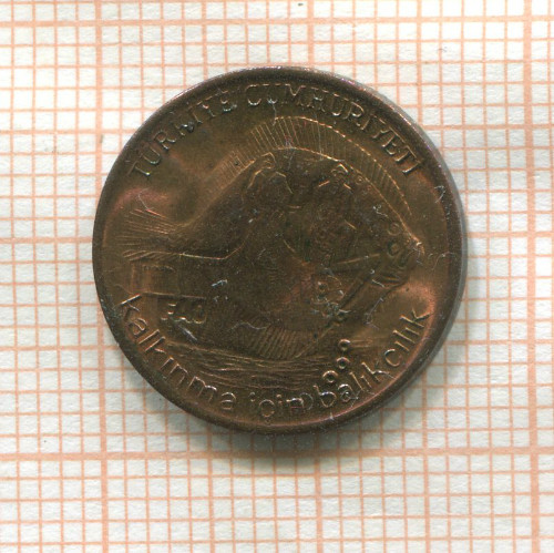 5 курушей. Турция. F.A.O. 1980г