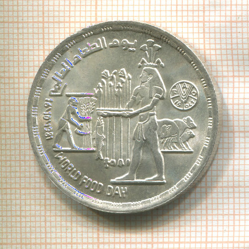 1 фунт. Египет. F.A.O. 1981г