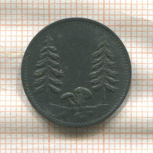 Нотгельд. 10 пфеннигов. Германия. Шёнвальд