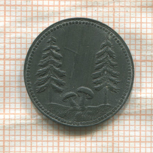 Нотгельд. 10 пфеннигов. Германия. Шёнвальд