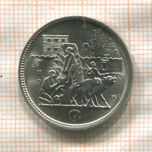 5 пиастров. Египет. F.A.O. 1977г