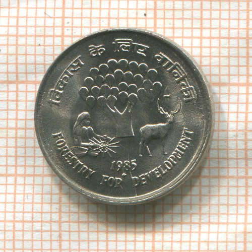 25 пайс. Индия. F.A.O. 1985г
