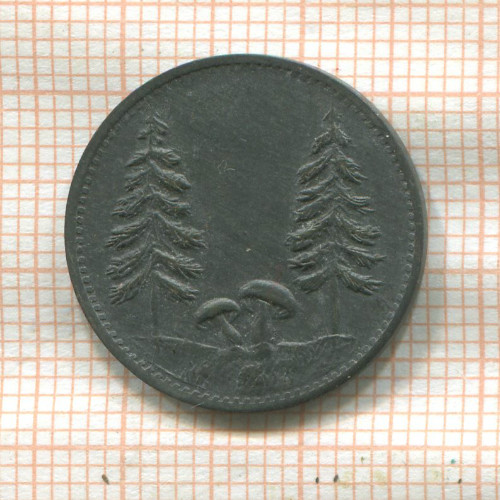 Нотгельд. 10 пфеннигов. Германия. Шёнвальд