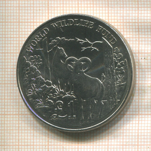 1 фунт. Кипр 1986г