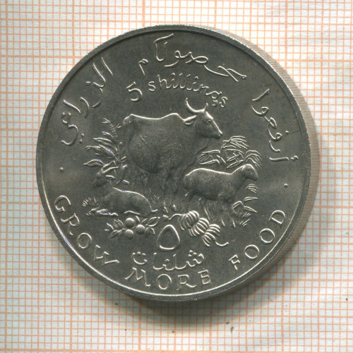 5 шиллингов. Сомали. F.A.O. 1970г