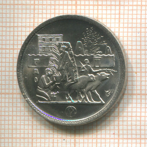 5 пиастров. Египет. F.A.O. 1977г