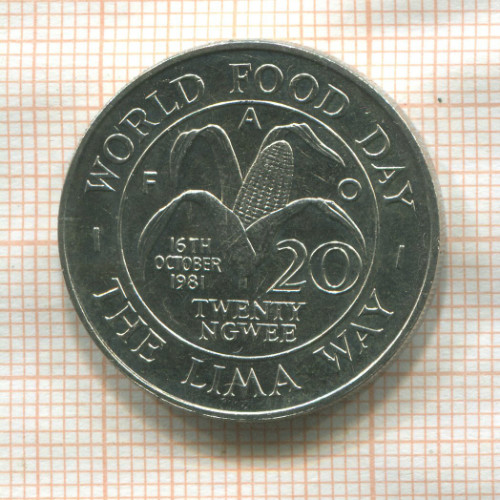 20 нгве. Замбия. F.A.O. 1981г