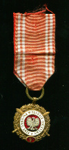 Бронзовая медаль "Вооруженные Силы на службе Отчизне" (5 лет службы). Польша