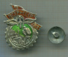 Нагрудный знак "ПСТР СССР 1919"