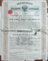 Облигация на 125 рублей. Российские железные дороги 1880г