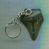 Брелок. Зуб ископаемой акулы Мегалодона