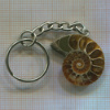 Брелок. Аммонит. Мадагаскар