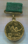 Медаль. "Участнику Всесоюзной Сельскохозяйственной выставки"