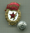Нагрудный знак. "Гвардия"