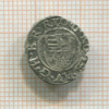Денар. Венгрия. Рудольф I 1602г