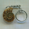 Брелок. Аммонит. Мадагаскар