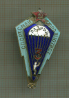 Нагрудный знак "Спортсмен-парашютист"
