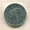 5 шиллингов. Сомали. Серия FAO 2000г