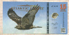 15 доллларов. Atlantic Forest 2016г