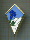 Полковой знак. 27-й полк ALPINI Альпийские стрелки Горные егеря. Франция