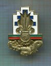 Полковой знак. 13-я полу-бригада. Иностранный легион. Франция