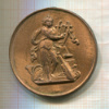 Медаль. Нидерланды 1891г