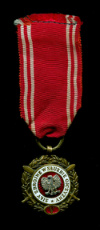 Бронзовая медаль "Вооруженные Силы на службе Отчизне" (5 лет службы). Польша