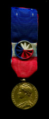 Золотая медаль министерства труда и социальной защиты. Франция