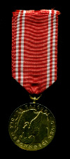 Золотая медаль "За заслуги при защите страны". Польша