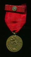 Медаль "За Службу Власти"