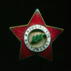 Звезда За Социалистическую культуру. Венгрия