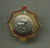 Нагрудный знак. Чемпион