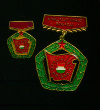 Знак"Социалистическая бригада". Венгрия. С миниатюрой