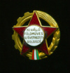Нагрудный знак. Отличный работник. Венгрия