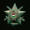 Знак. Армия Венгрии. Звезда KHT