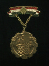 Нагрудный знак. Лучший работник сельского хозяйства. Венгрия