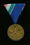 Медаль "За Борьбу с Наводнением". Венгрия