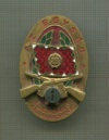 Воинский нагрудный знак. Венгрия