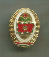 Нагрудный знак. Венгрия