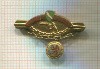 Нагрудный знак стрелкового клуба. Германия