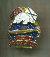 Нагрудный знак "Подводник Северного флота"