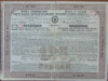 Облигация в 125 рублей. Общество Ивангородо-Домбровской железной дороги