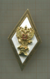 Нагрудный знак "Академия МЧС"