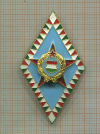 Нагрудный знак. Венгрия