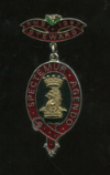 Медаль Королевского масонского благотворительного института. STEWARD. Англия 1997г